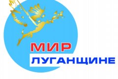 В проекте "Молодая гвардия" провели 250 мероприятий за год