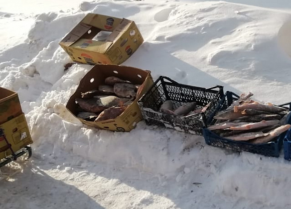 За неделю в Луганске провели 16 рейдов по борьбе со стихийной торговлей