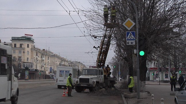 Обрезку деревьев продолжают в столице ЛНР