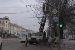 Обрезку деревьев продолжают в столице ЛНР