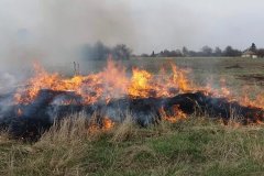 В Республике ведется борьба против поджигателей травы и мусора