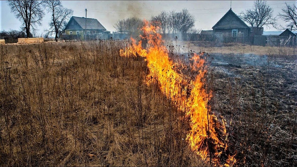 За сутки пожарами в ЛНР уничтожено 129 га сухой травы, пострадали люди