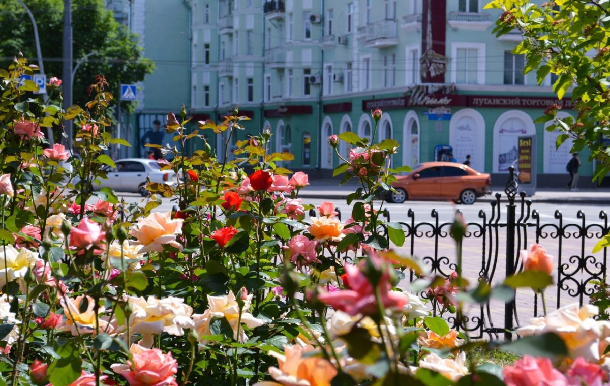 В Луганске рассказали о новых правилах благоустройства города