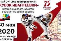 Луганчане победили в онлайн-турнирах в РФ