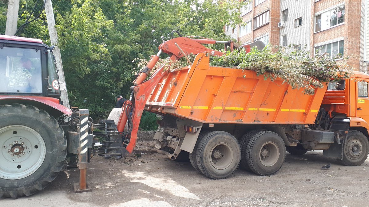 За неделю коммунальщики Луганска вывозят 500 кубометров веток со дворов многоэтажек