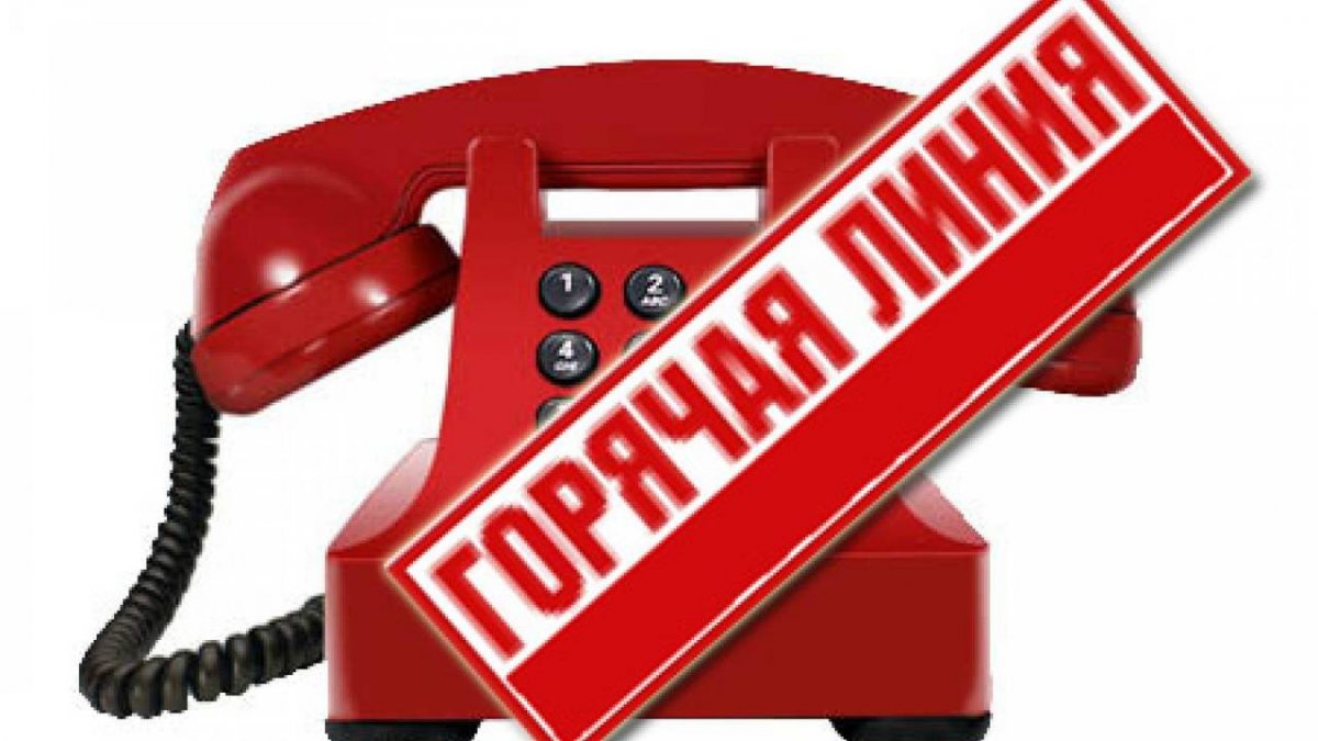 В проект "Горячая линия" за неделю обратился 101 житель ЛНР