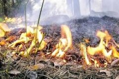 В Республике продлили действие высшего класса пожарной опасности