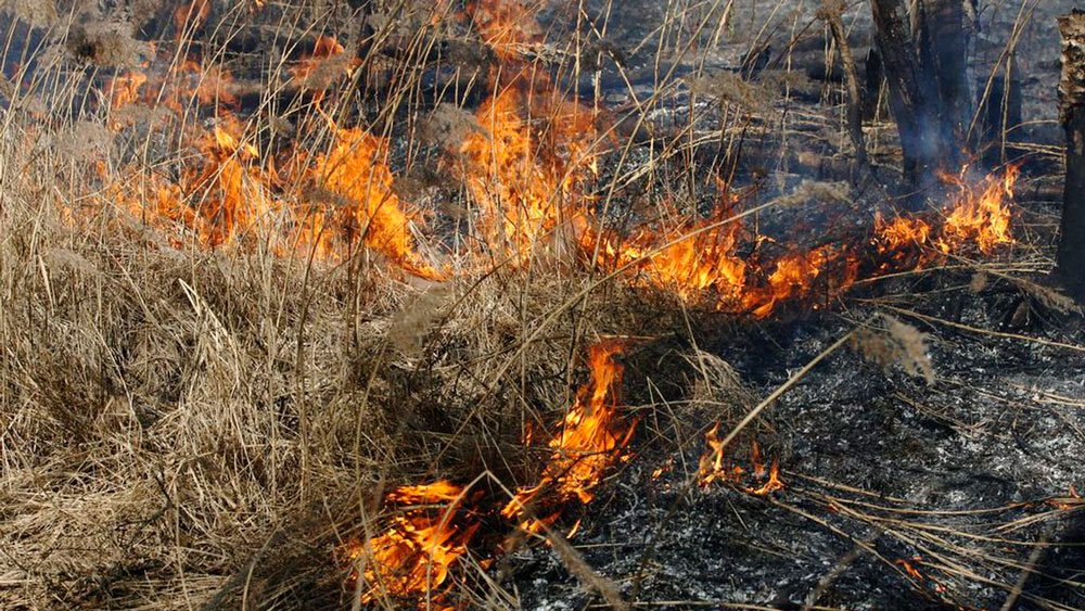 В ЛНР за неделю ликвидировано 332 пожара