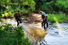 В Минприроды ЛНР за полтора месяца поступило 17 обращений