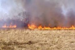 Пожары за сутки уничтожили в ЛНР более 30 га сухой травы и мусора