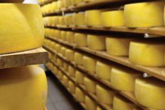 Производство сыра в ЛНР увеличилось более чем в 6 раз