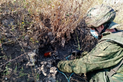 За неделю саперы НМ ЛНР очистили от взрывоопасных предметов территорию в 64 га
