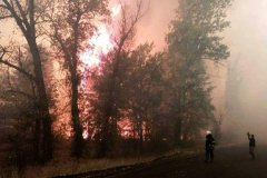 Зеленскому плевать на пожары в Донбассе