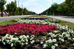 Столичные коммунальщики в этом месяце высадят 5 тысяч кустов роз в районе Краснодонского выезда