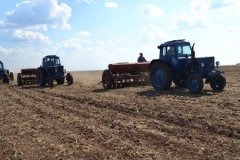 Сев озимых культур в Республике выполнен на 99%