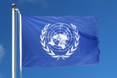 ФРГ и Франция заблокировали трансляцию на сайте ООН выступлений представителей Донбасса