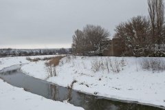 Как предотвратить засуху в 2021 году