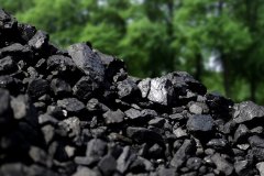 На шахте «Комсомольская» компании «ВОСТОКУГОЛЬ» заработала новая лава