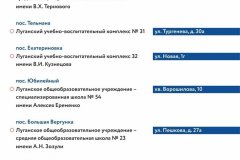 В ЛНР будут работать 141 инфоцентр для консультаций по голосованию в Госдуму РФ