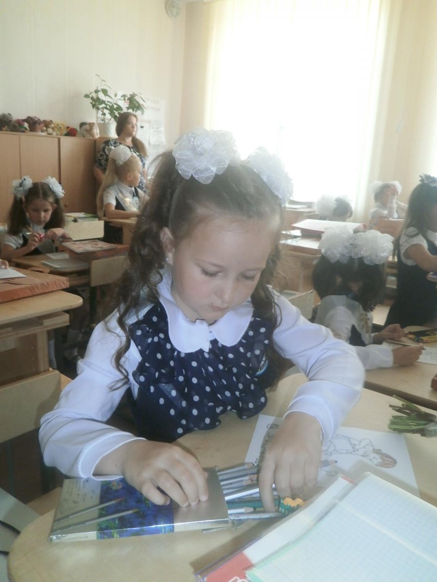 Школа, здравствуй!