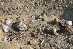Рабочая группа за два дня извлекла из захоронения в Первомайске останки 28 жертв ВСУ