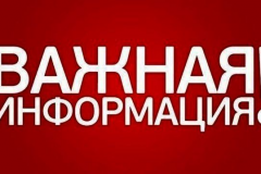 Без комментариев. Отправка жителей Луганска на выборы депутатов Государственной Думы РФ