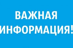 Без комментариев. В инфоцентрах Алчевска началось дистанционное голосование на выборах в Госдуму РФ