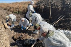 Спецгруппа извлекла из захоронения под Краснодоном останки девяти жертв ВСУ