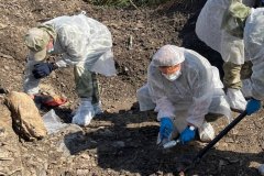 Спецгруппа извлекла из захоронения под Краснодоном останки еще девяти жертв ВСУ