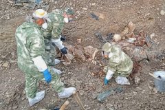 Спецгруппа за время работы под Краснодоном извлекла из захоронения останки 36 жертв ВСУ