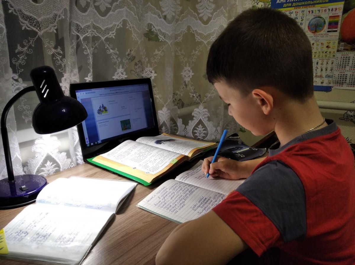 Школьники ЛНР вернутся к учебному процессу с 8 ноября