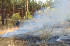 с 26 октября объявлен самый высокий класс пожарной опасности