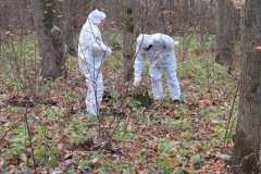 Осенняя кампания по вакцинации диких животных начнется 23 ноября