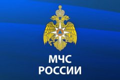 МЧС РФ пообещало реагировать на все сигналы о проблемах эвакуированных жителей Донбасса