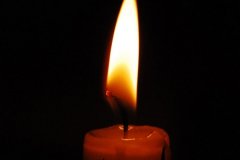 Шесть мирных жителей погибли с 17 февраля в результате обстрелов со стороны ВСУ – СЦКК