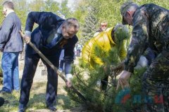 Станица Луганская присоединилась к международной акции «Сад памяти»