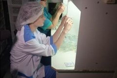 «Лугмедфарм» планирует увеличить количество производимой продукции
