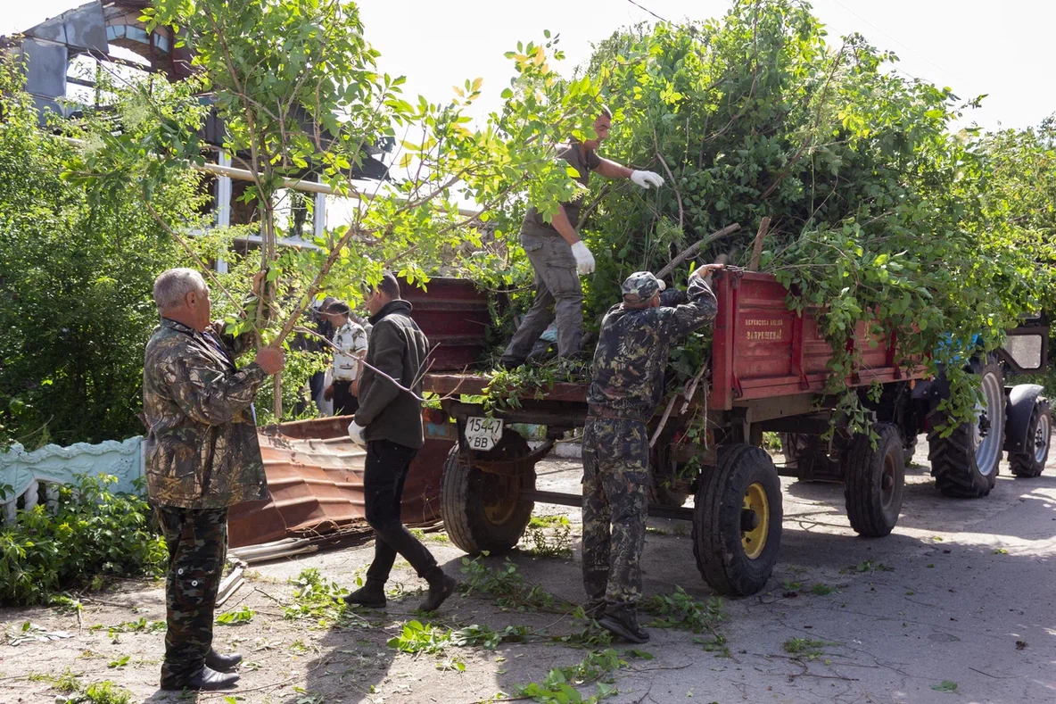 Восстановление Станично-Луганского лесхоза продолжается