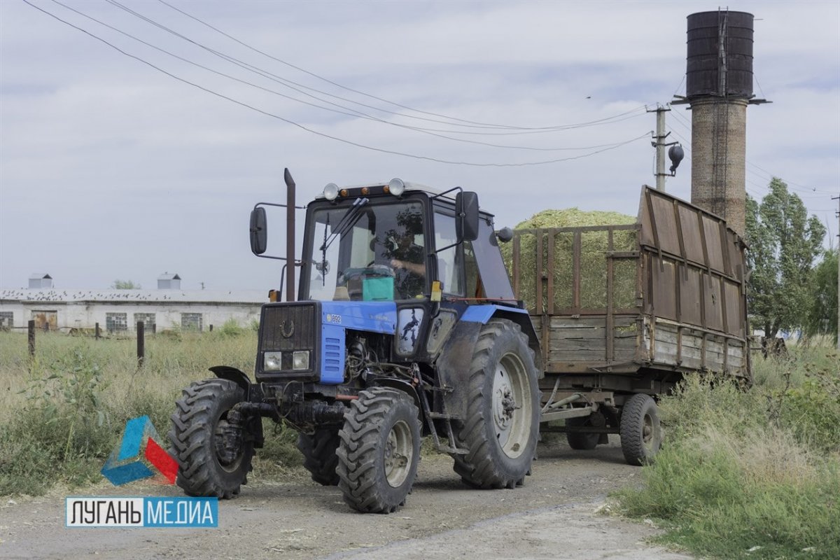 На полях предприятия ГУП ЛНР «АГРОФОНД» началась заготовка кормов для животных на зимне-стойловый период