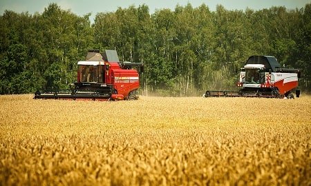 Сельхозтоваропроизводители ЛНР убрали более 344 тыс. га ранних зерновых и зернобобовых культур и намолотили более 1,1 млн т зерна, потребность Республики в продовольственном и фуражном зерне полностью обеспечена