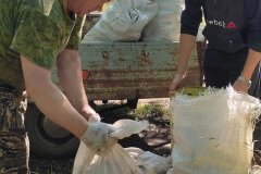 Очистка и уборка территории от бытового мусора в урочище Зеленый Гай Ивановское лесничество – забота о лесах в пожароопасный период