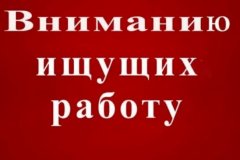 ТО ГУ - Республиканский центр занятости ЛНР в Станично-Луганском районе предлагает работу в ООО «СТРОЙЦЕНТР» пгт Станица Луганская