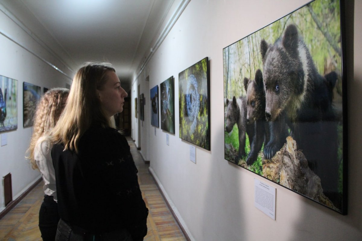 Сегодня открылась фотовыставка «Россия первозданная. Мир птиц. Мир животных» в рамках проекта «Наши традиции»