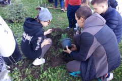 В честь воссоединения с Россией и Дня учителя в Луганске высадили деревья