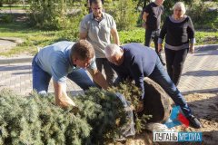 В Станице Луганской возле отремонтированных детского сада и гимназии высадили деревья