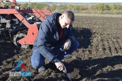 В Лутугинском районе продолжается посевная кампания озимых зерновых культур