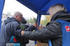 В Брянке проходит акция «Зеленый город»