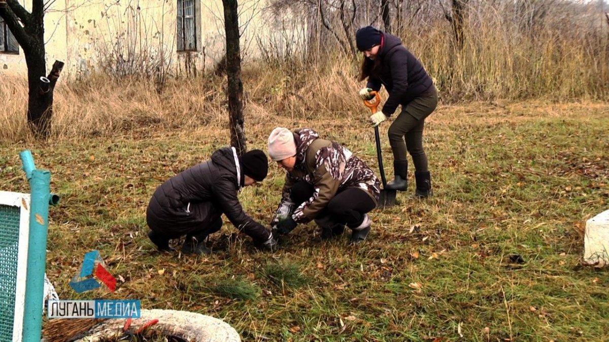 В Республике продолжается всероссийская акция «Сохраним лес»