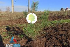 В Малониколаевке Антрацитовского района состоялась всероссийская акция «Сохраним лес»