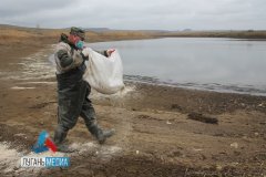На водном объекте – пруде «Поповский», расположенном в балке Поповская, притоке реки Ровенёк, было проведено известкование дна водоёма